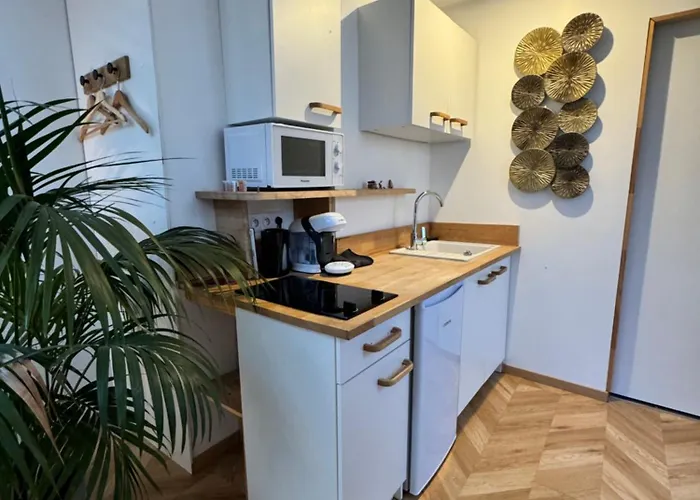 Ikigai Aparthotel Muhlbach-sur-Munster